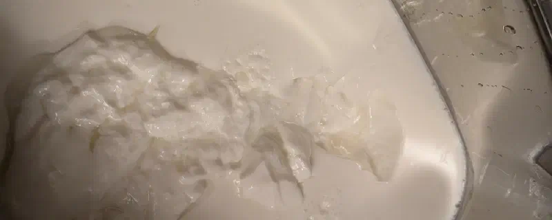 Instant Pot (Greek) Yogurt