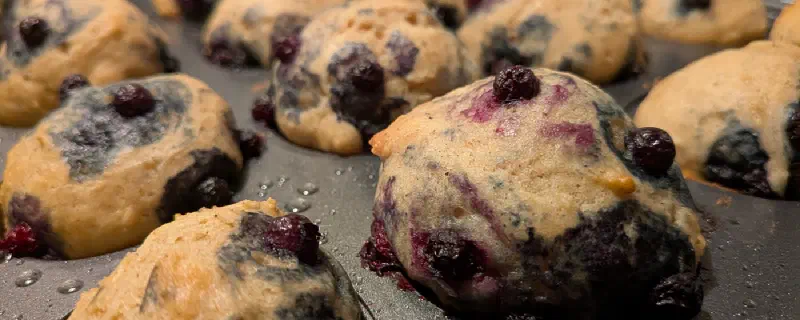Chocolate Chip Mini Muffins (Copycat Little Bites)